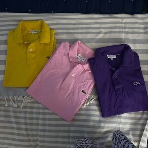 These are a bundle of 3 polos no tags
